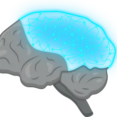 brain