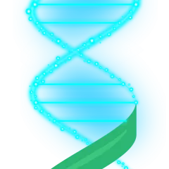 DNA